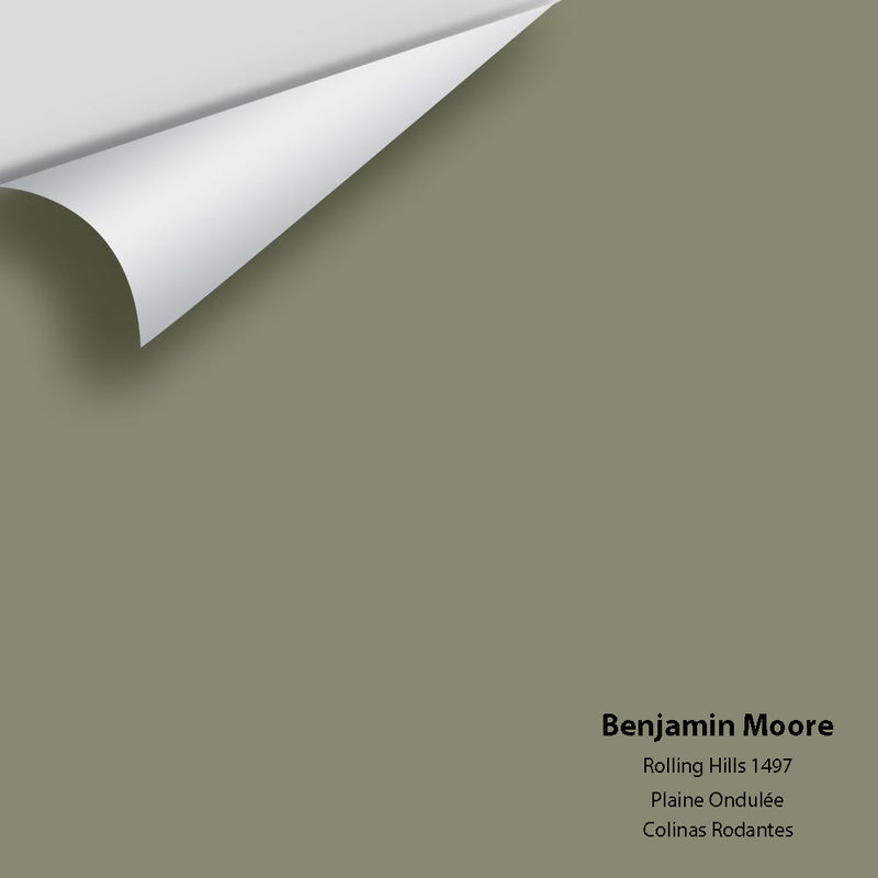 Benjamin Moore - Rolling Hills 1497 Peel & Stick Color Sample