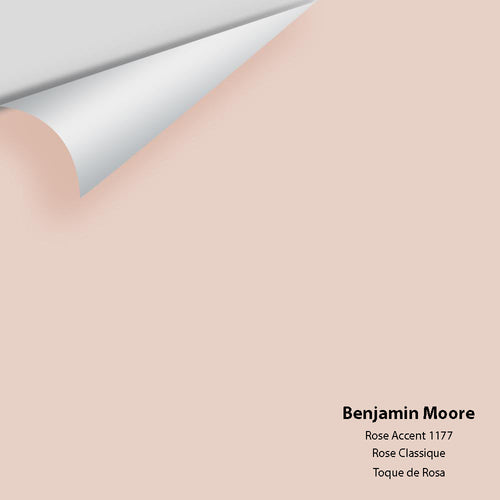 Benjamin Moore - Rose Accent 1177 Peel & Stick Color Sample
