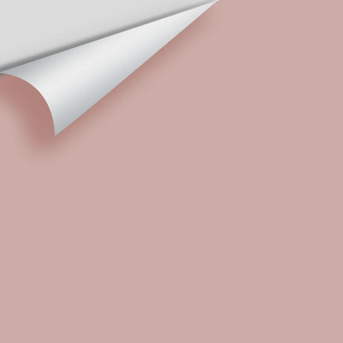 Benjamin Moore - Rose Bisque 2102-50 Peel & Stick Color Sample