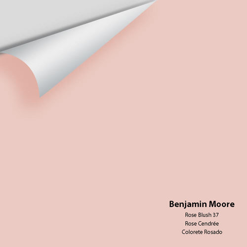 Benjamin Moore - Rose Blush 37 Peel & Stick Color Sample