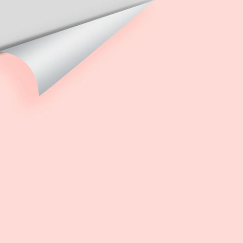 Benjamin Moore - Rose Reflection 2171-60 Peel & Stick Color Sample