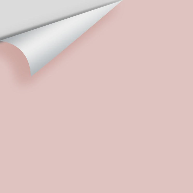 Benjamin Moore - Rose Silk 2104-60 Peel & Stick Color Sample
