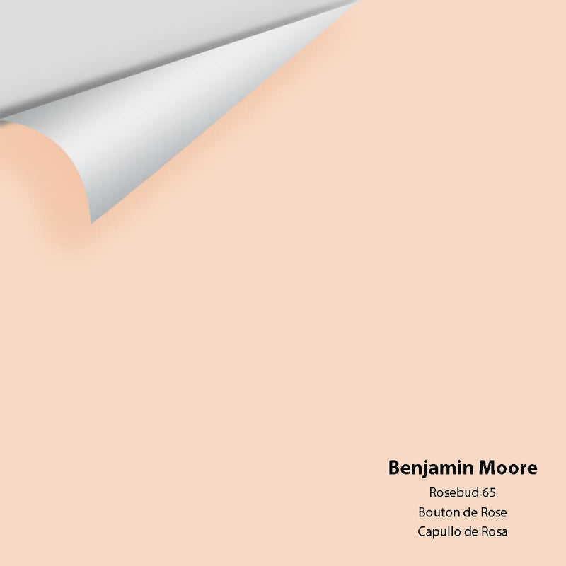 Benjamin Moore - Rosebud 65 Peel & Stick Color Sample