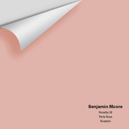 Benjamin Moore - Rosetta 38 Peel & Stick Color Sample