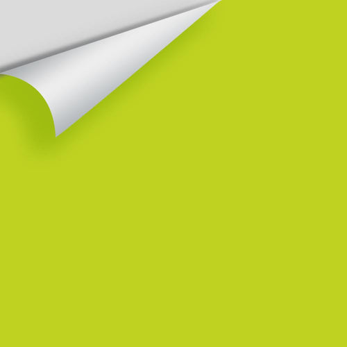 Benjamin Moore - Snow Cone Green 2026-30 Peel & Stick Color Sample