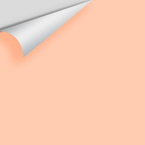 Benjamin Moore - Springtime Peach 2014-50 Peel & Stick Color Sample
