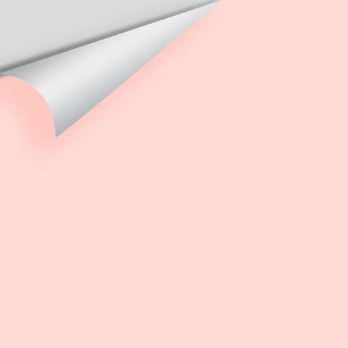 Benjamin Moore - Springy Peach 2011-60 Peel & Stick Color Sample