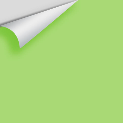 Benjamin Moore - Spring Meadow Green 2031-40 Peel & Stick Color Sample