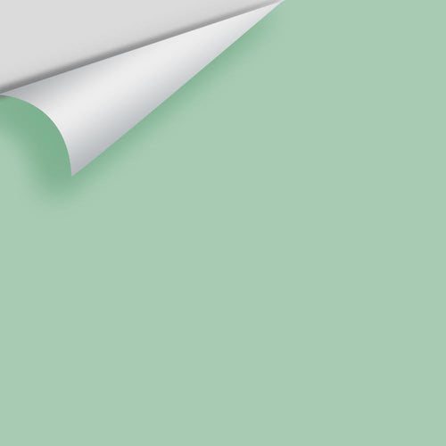Benjamin Moore - Spruce Green 2035-50 Peel & Stick Color Sample