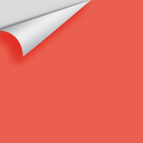 Benjamin Moore - Starburst Orange 2010-30 Peel & Stick Color Sample