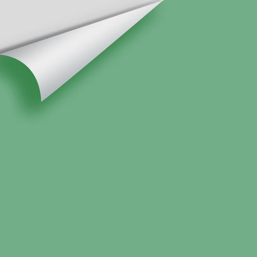 Benjamin Moore - Stokes Forest Green 2035-40 Peel & Stick Color Sample