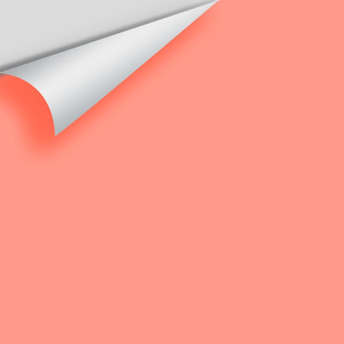 Benjamin Moore - Summer Sun Pink 2012-40 Peel & Stick Color Sample