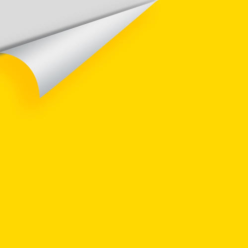 Benjamin Moore - Sun Kissed Yellow 2022-20 Peel & Stick Color Sample