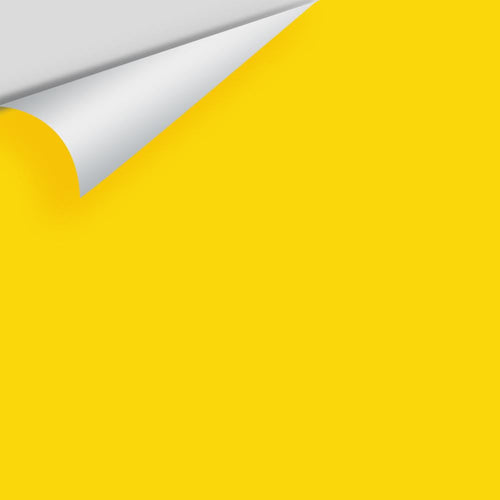 Benjamin Moore - Sun Porch 2023-30 Peel & Stick Color Sample