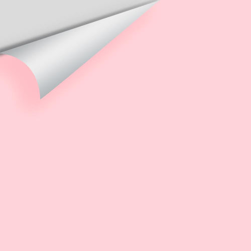 Benjamin Moore - Sweet 16 Pink 2002-60 Peel & Stick Color Sample