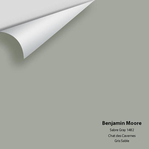 Benjamin Moore - Sabre Gray 1482 Peel & Stick Color Sample