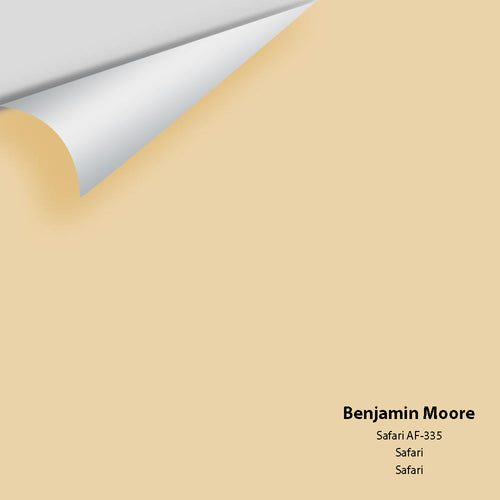 Benjamin Moore - Safari AF-335 Peel & Stick Color Sample