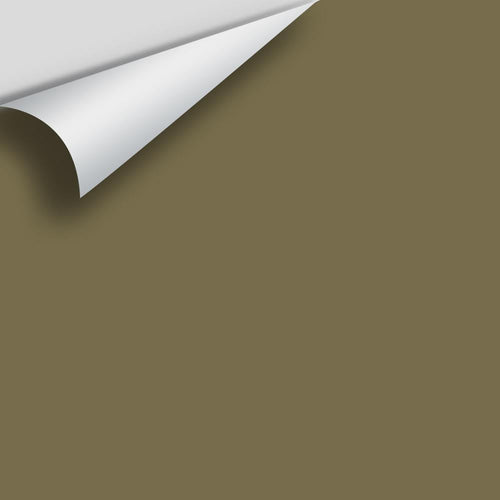 Benjamin Moore - Sage 2143-10 Peel & Stick Color Sample