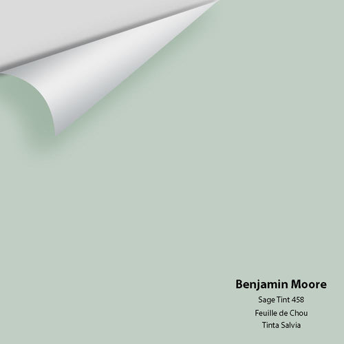 Benjamin Moore - Sage Tint 458 Peel & Stick Color Sample