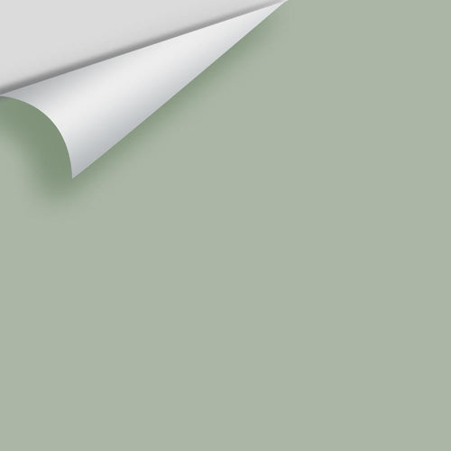 Benjamin Moore - Sage Wisdom CSP-775 Peel & Stick Color Sample