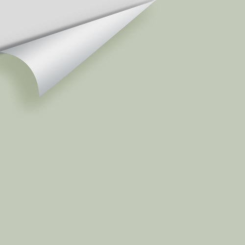 Benjamin Moore - Sagebrush CSP-770 Peel & Stick Color Sample