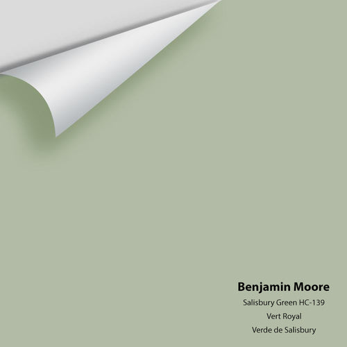Benjamin Moore - Salisbury Green HC-139 Peel & Stick Color Sample