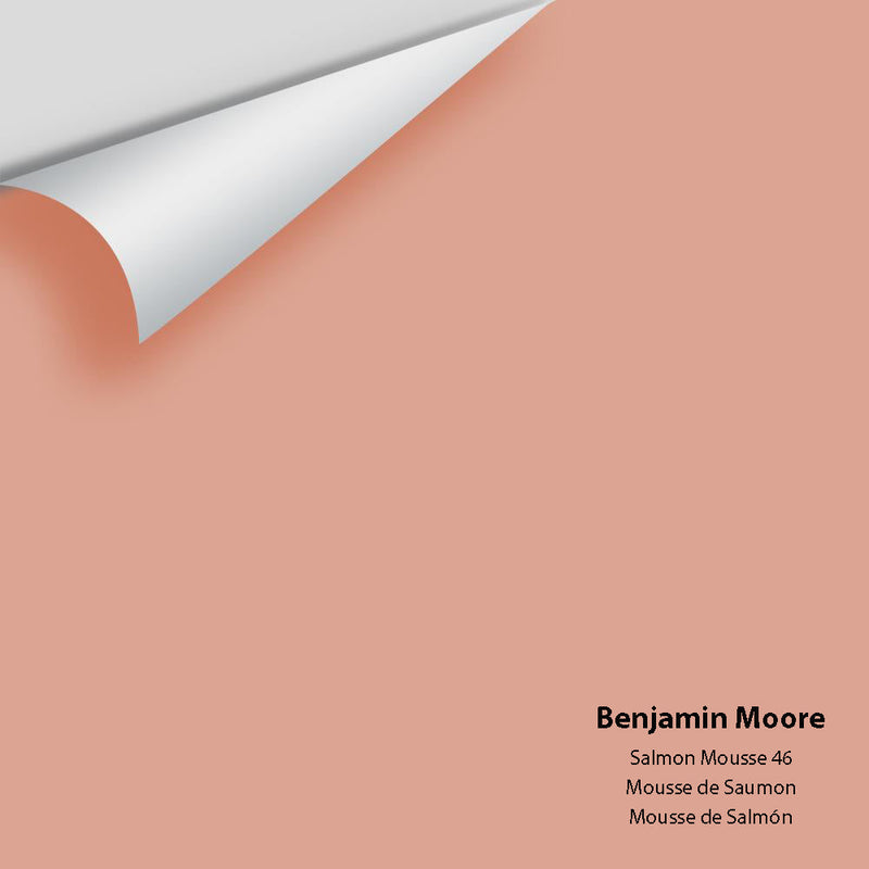 Benjamin Moore - Salmon Mousse 46 Peel & Stick Color Sample