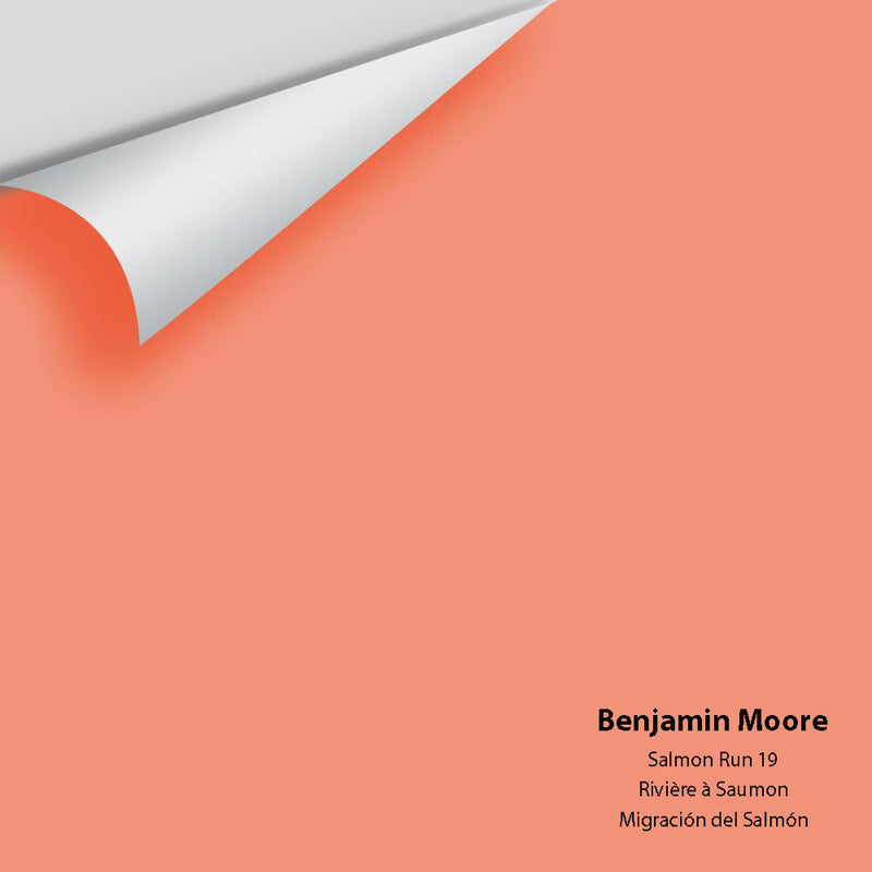 Benjamin Moore - Salmon Run 19 Peel & Stick Color Sample