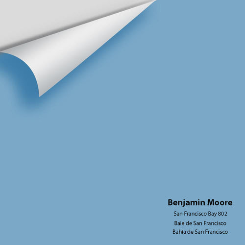 Benjamin Moore - San Francisco Bay 802 Peel & Stick Color Sample
