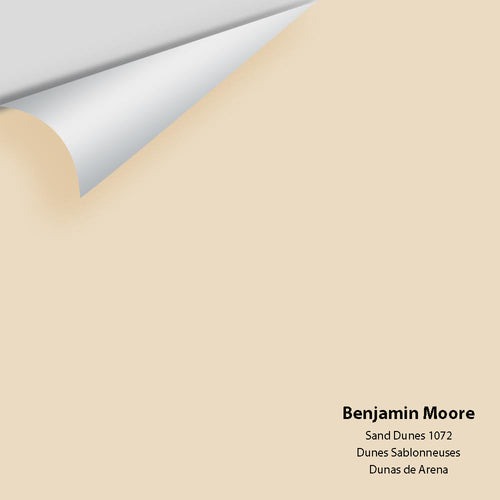 Benjamin Moore - Sand Dunes 1072 Peel & Stick Color Sample