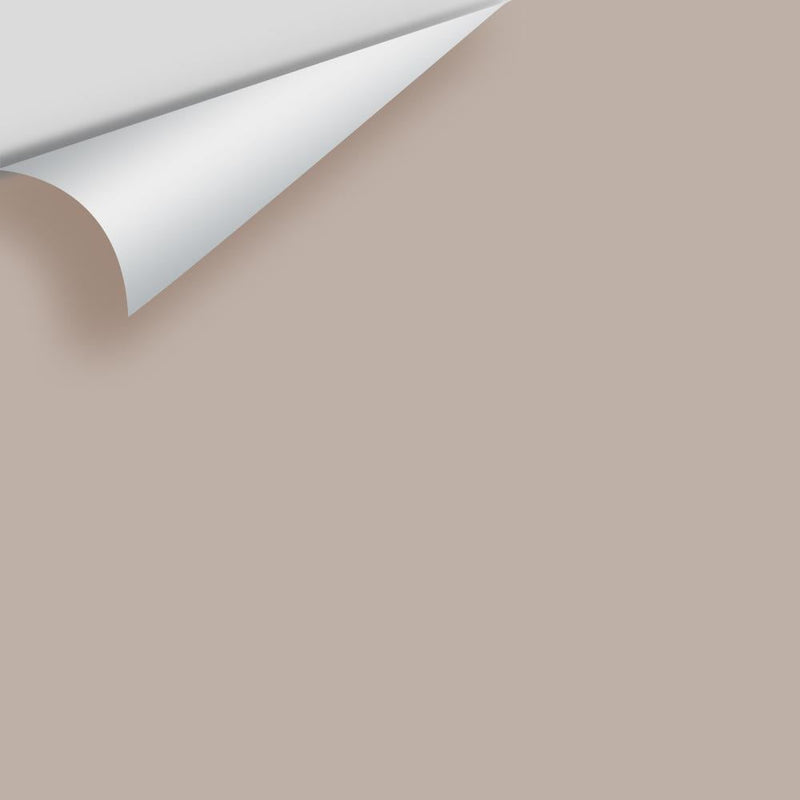 Benjamin Moore - Sandlot Gray 2107-50 Peel & Stick Color Sample
