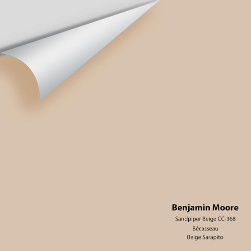 Benjamin Moore - Sandpiper Beige CC-368 Peel & Stick Color Sample