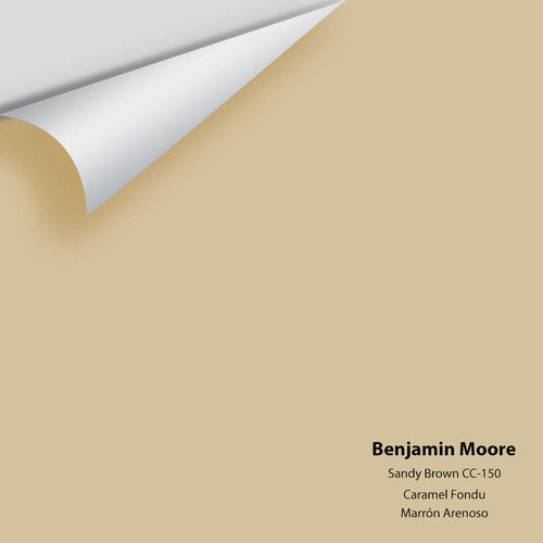 Benjamin Moore - Sandy Brown 1046/CC-150 Peel & Stick Color Sample