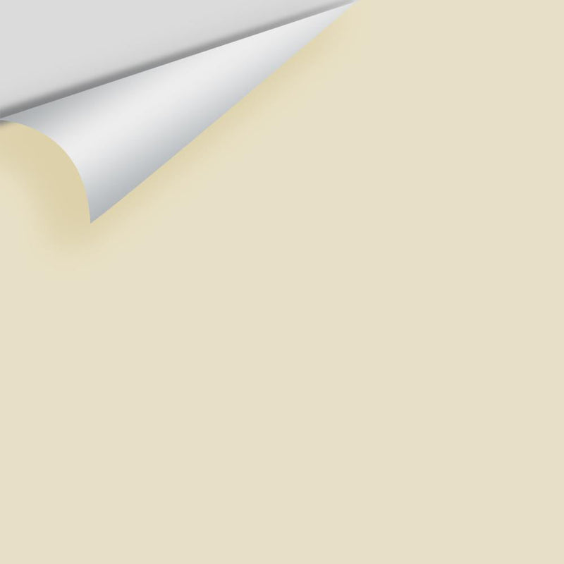 Benjamin Moore - Sandy White 2148-50 Peel & Stick Color Sample