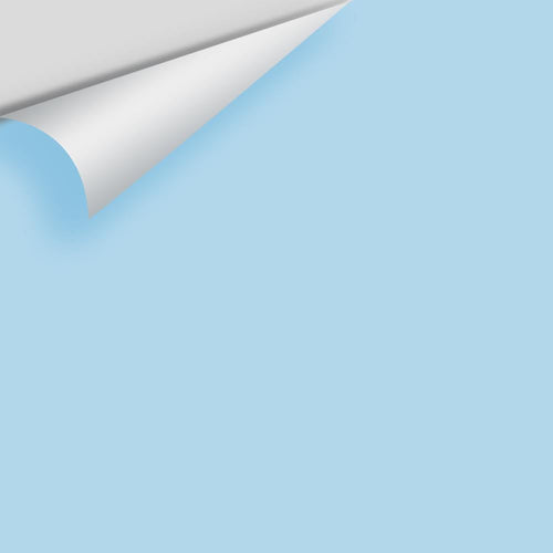 Benjamin Moore - Sapphireberry 2063-60 Peel & Stick Color Sample