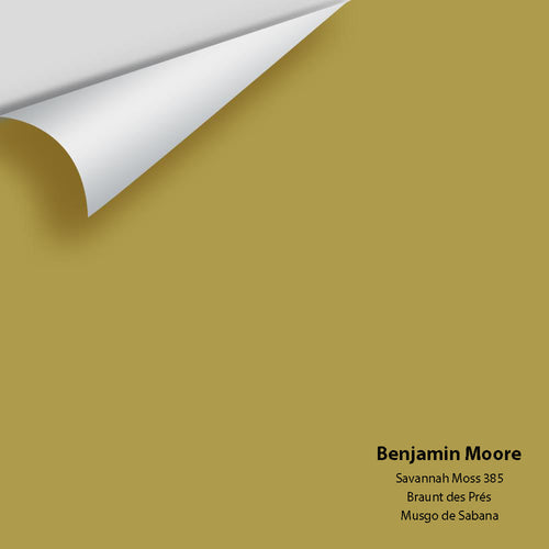 Benjamin Moore - Savannah Moss 385 Peel & Stick Color Sample