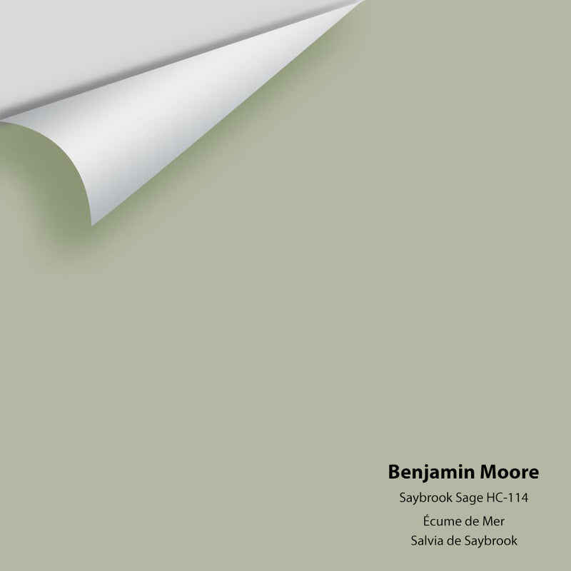 Benjamin Moore - Saybrook Sage HC-114 Peel & Stick Color Sample