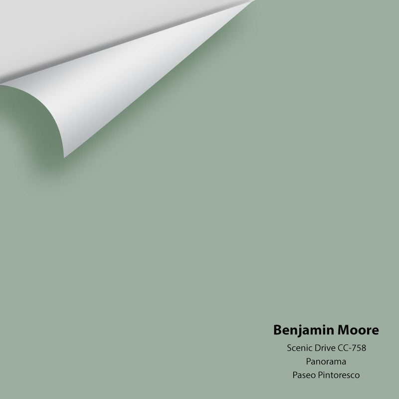 Benjamin Moore - Scenic Drive 697/CC-758 Peel & Stick Color Sample