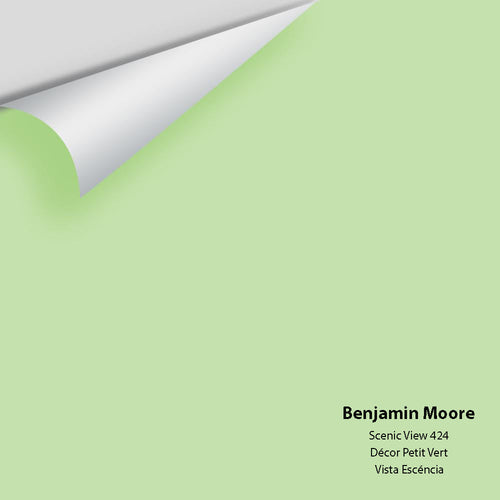 Benjamin Moore - Scenic View 424 Peel & Stick Color Sample