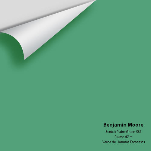Benjamin Moore - Scotch Plains Green 587 Peel & Stick Color Sample