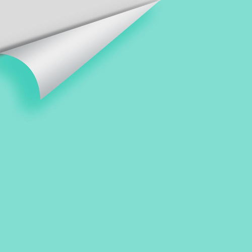 Benjamin Moore - Scuba Green 2046-50 Peel & Stick Color Sample