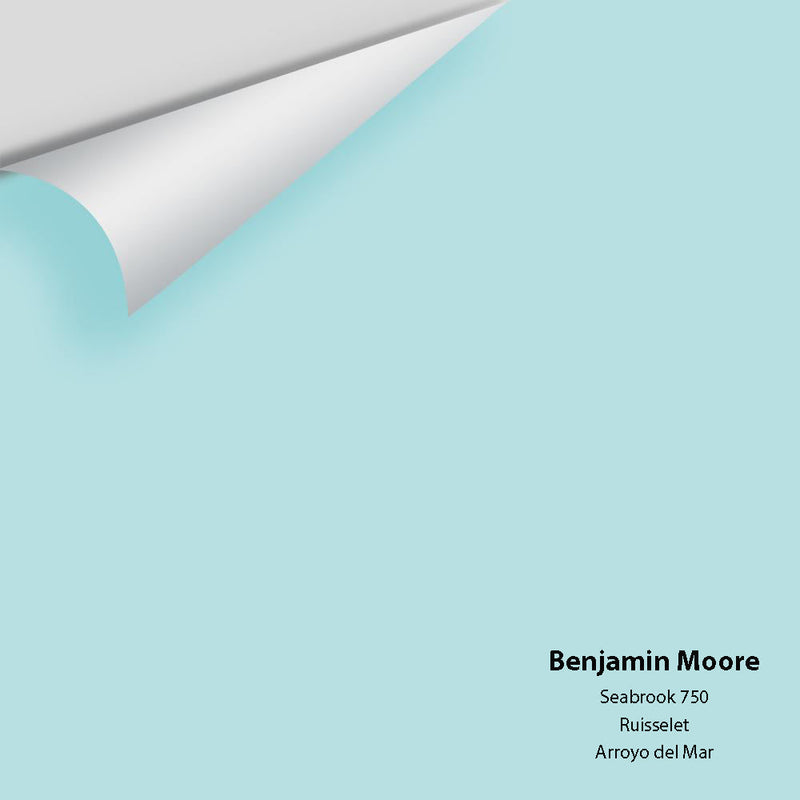 Benjamin Moore - Seabrook 750 Peel & Stick Color Sample