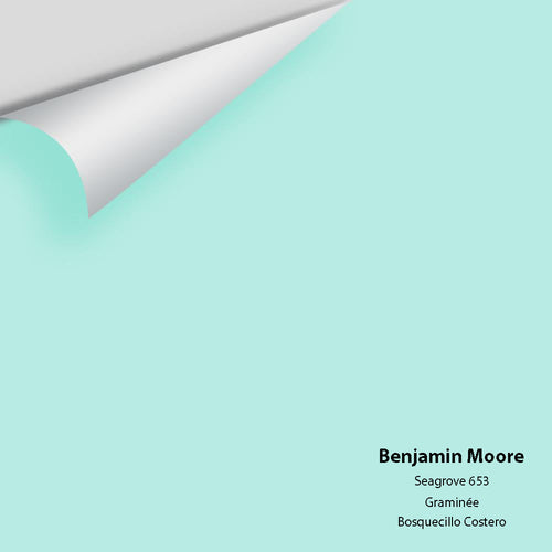 Benjamin Moore - Seagrove 653 Peel & Stick Color Sample