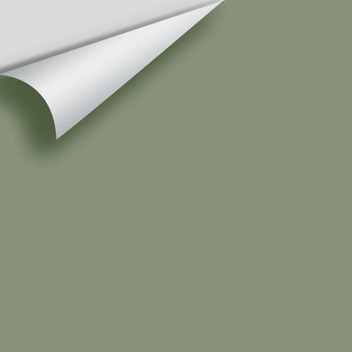 Benjamin Moore - Secret Path CSP-800 Peel & Stick Color Sample