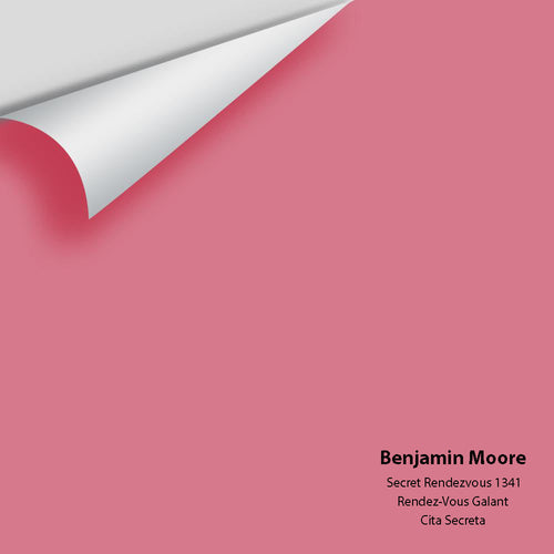 Benjamin Moore - Secret Rendezvous 1341 Peel & Stick Color Sample