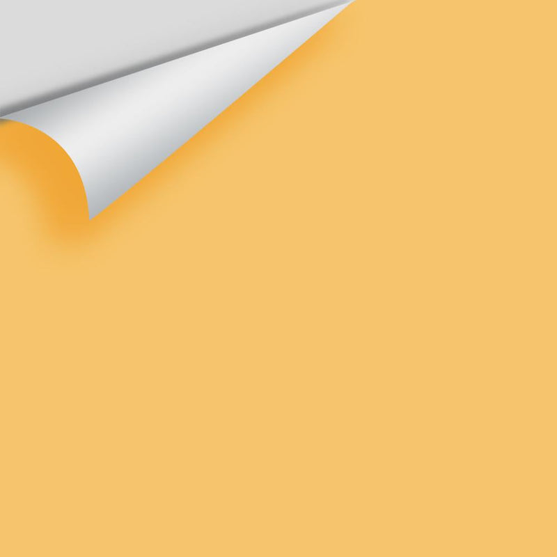 Semolina Color Code The Color House Benjamin Moore Peel & Stick Paint Samples – thecolorhouse