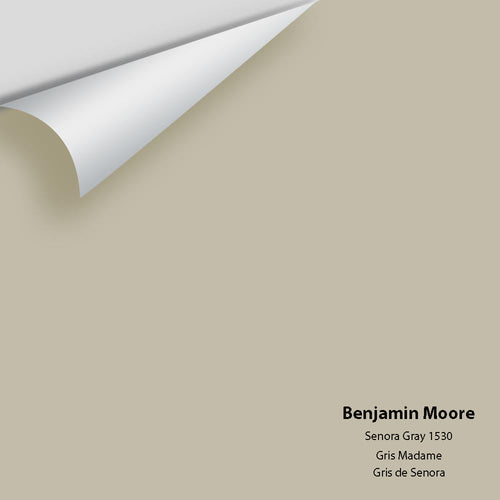 Benjamin Moore - Senora Gray 1530 Peel & Stick Color Sample