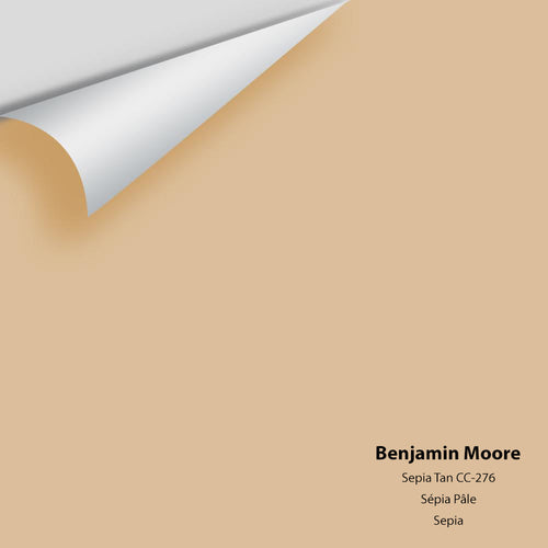 Benjamin Moore - Sepia Tan 1116/CC-276 Peel & Stick Color Sample