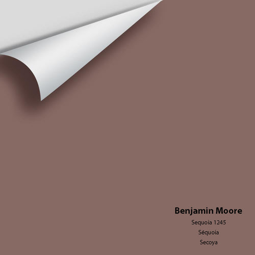 Benjamin Moore - Sequoia 1245 Peel & Stick Color Sample