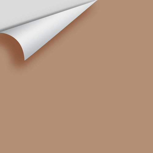 Benjamin Moore - Serengeti Sand 2164-40 Peel & Stick Color Sample